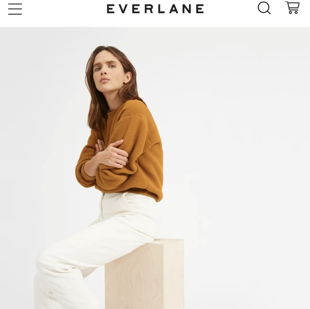 Everlane Renew Fleece Raglan Sweatshirt